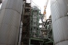 Biocel Paskov